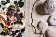 Food Photography - Scampi and Black Truffles